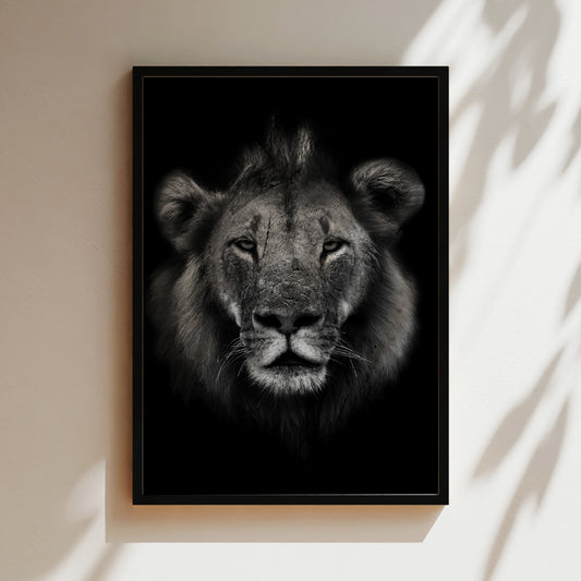 A black and white portrait of a lion's face, with its intense gaze and powerful features prominently displayed.