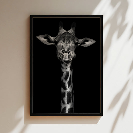 A black and white photograph of a giraffe's head, with its eyes closed and a smile on its face, is displayed in a frame on a wall.