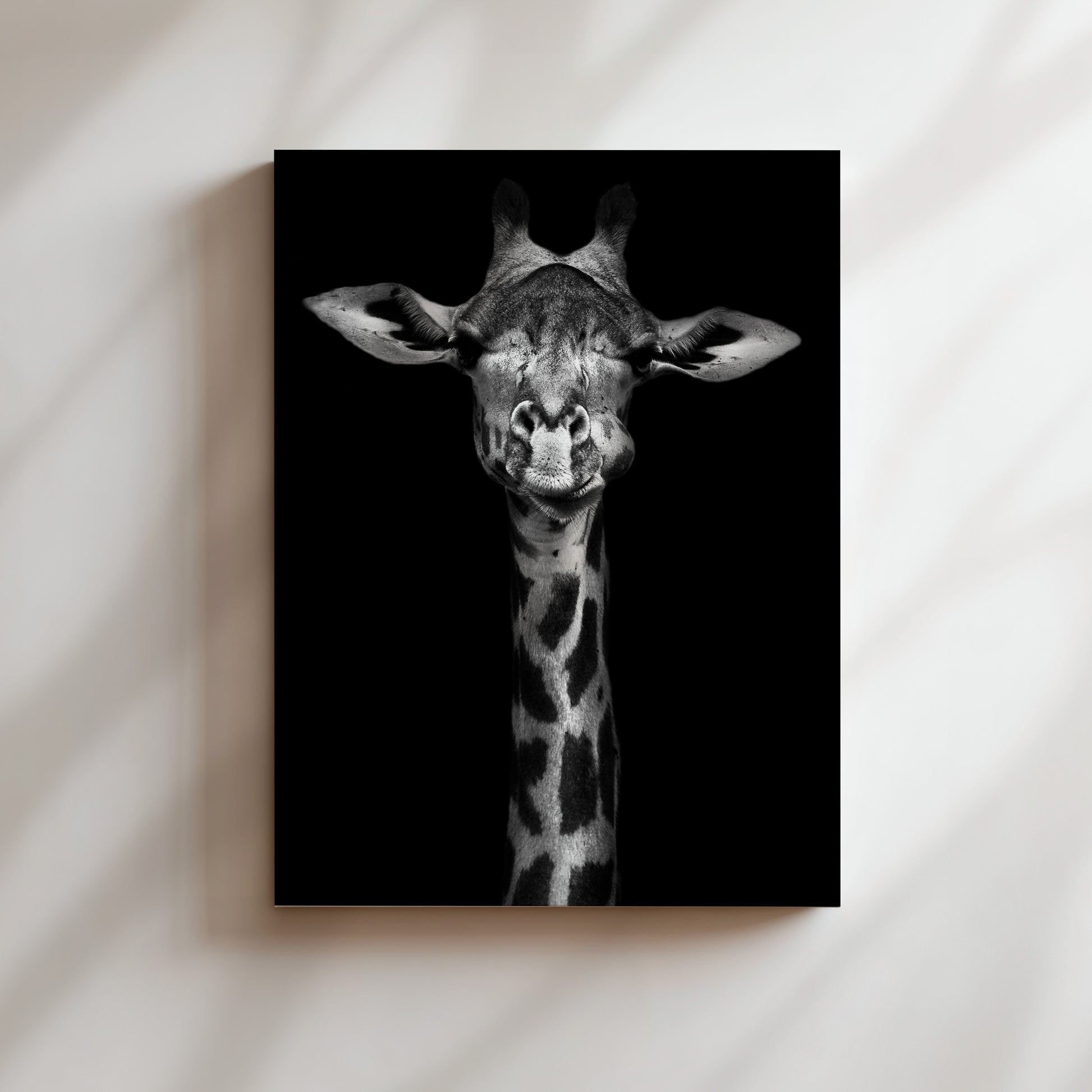 A close-up black and white portrait of a giraffe with its head tilted slightly to the left, revealing its eyes and mouth.