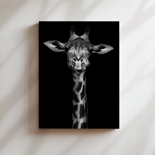 A close-up black and white portrait of a giraffe with its head tilted slightly to the left, revealing its eyes and mouth.