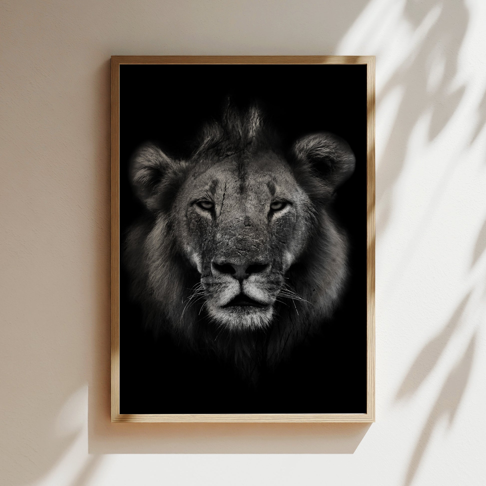 A framed black and white photograph of a lion's face, with its intense gaze and powerful features prominently displayed.
