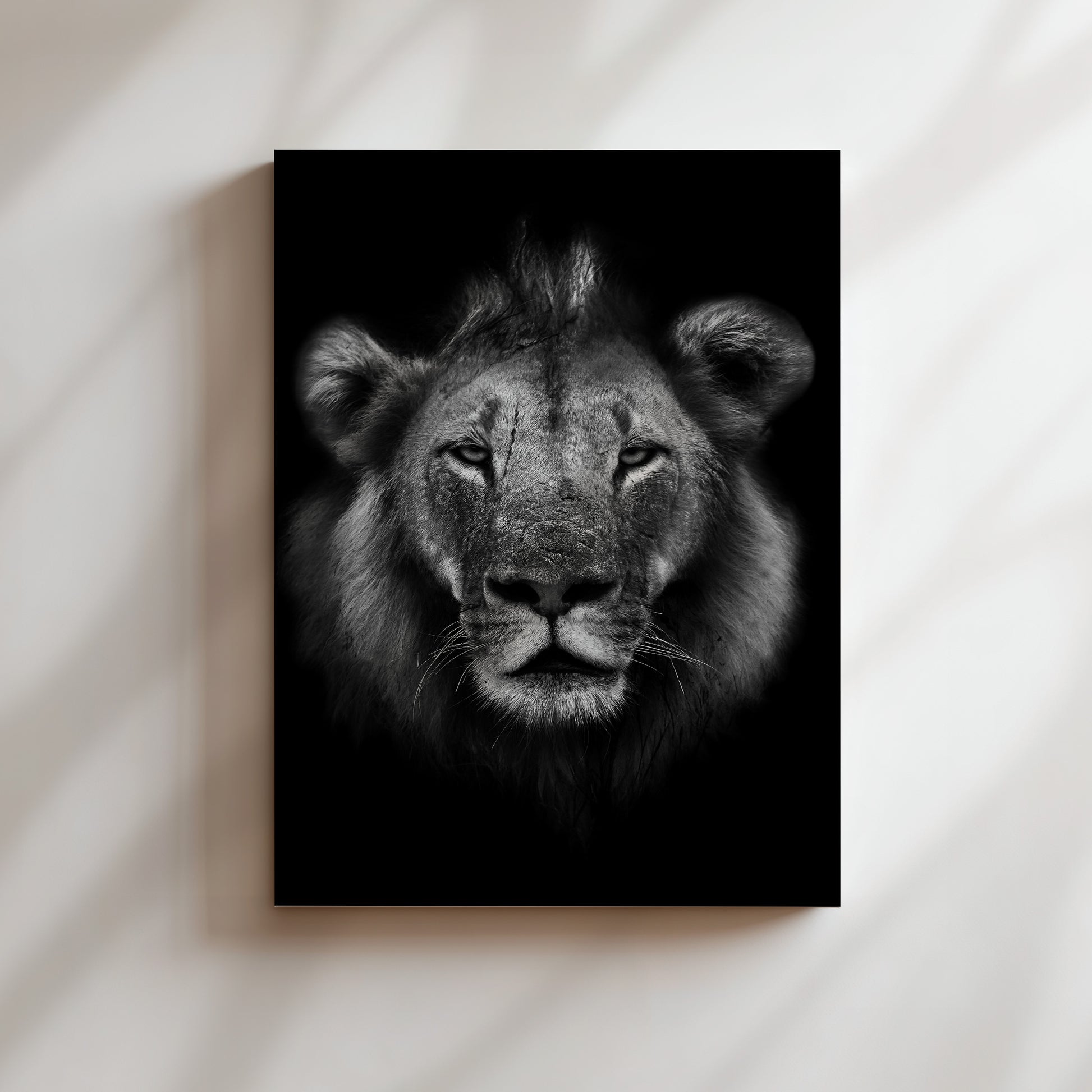 A striking black and white portrait of a majestic lion, its gaze intense and powerful, set against a stark white background.