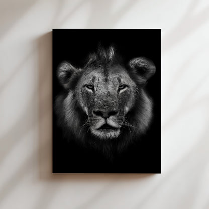 A striking black and white portrait of a majestic lion, its gaze intense and powerful, set against a stark white background.