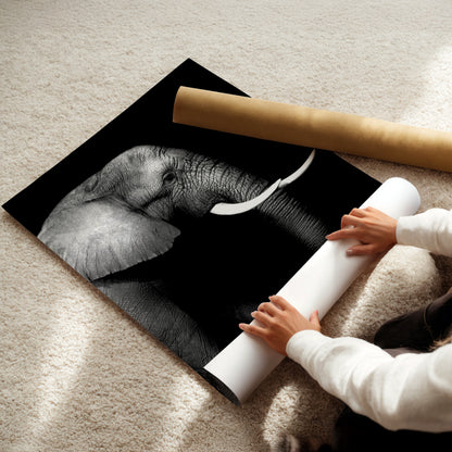 A person is carefully placing a roll of paper under a photograph of an elephant on a carpeted floor.