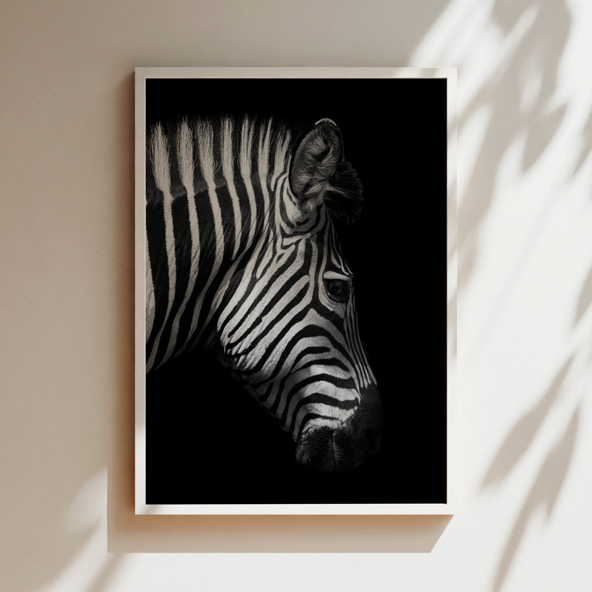 A black and white photograph of a zebra's head, with its distinctive striped pattern prominently featured against a dark background.