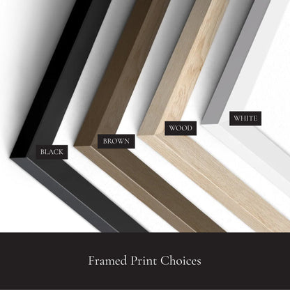 a group of framed prints with different colors