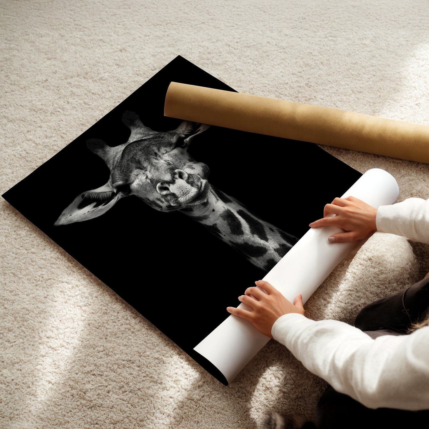 A person is holding a roll of paper and placing it under a framed image of a giraffe on a carpeted floor.