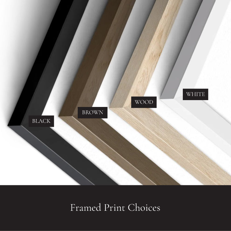 a group of framed prints with different colors