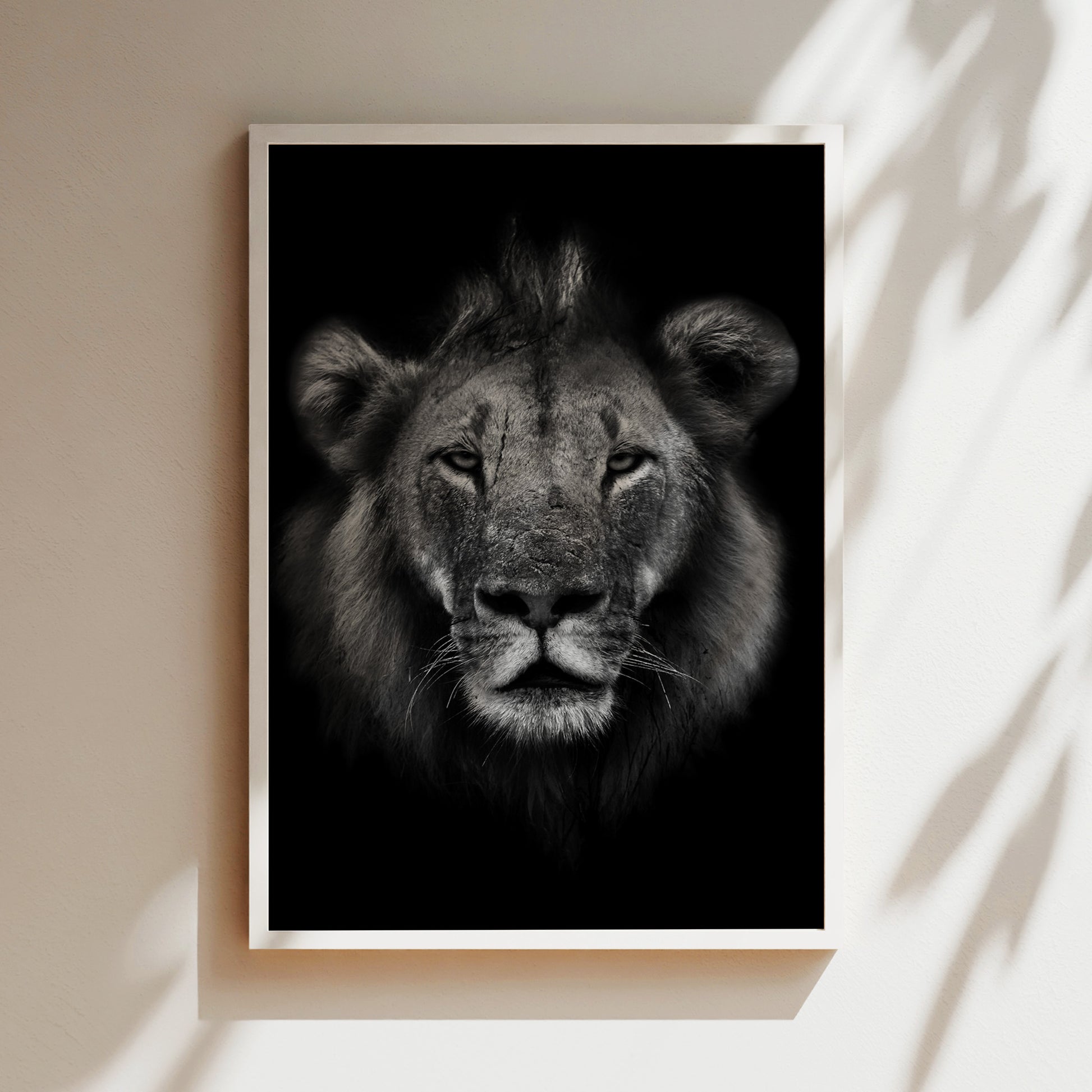 A close-up black and white portrait of a lion's face, with its intense gaze and powerful features prominently displayed.