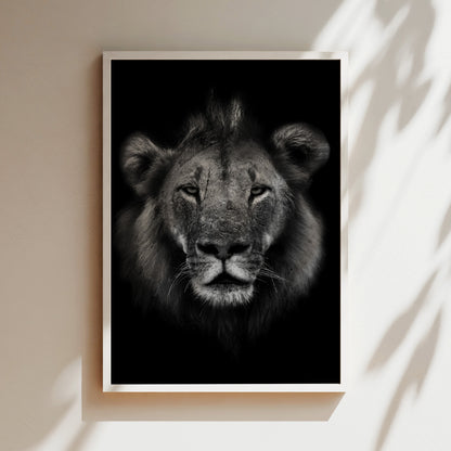A close-up black and white portrait of a lion's face, with its intense gaze and powerful features prominently displayed.