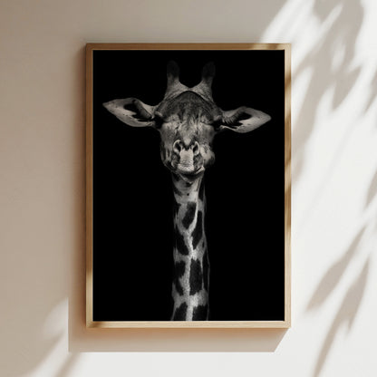 A framed black and white photograph of a giraffe's head, with its eyes closed and a serene expression, is displayed on a wall.