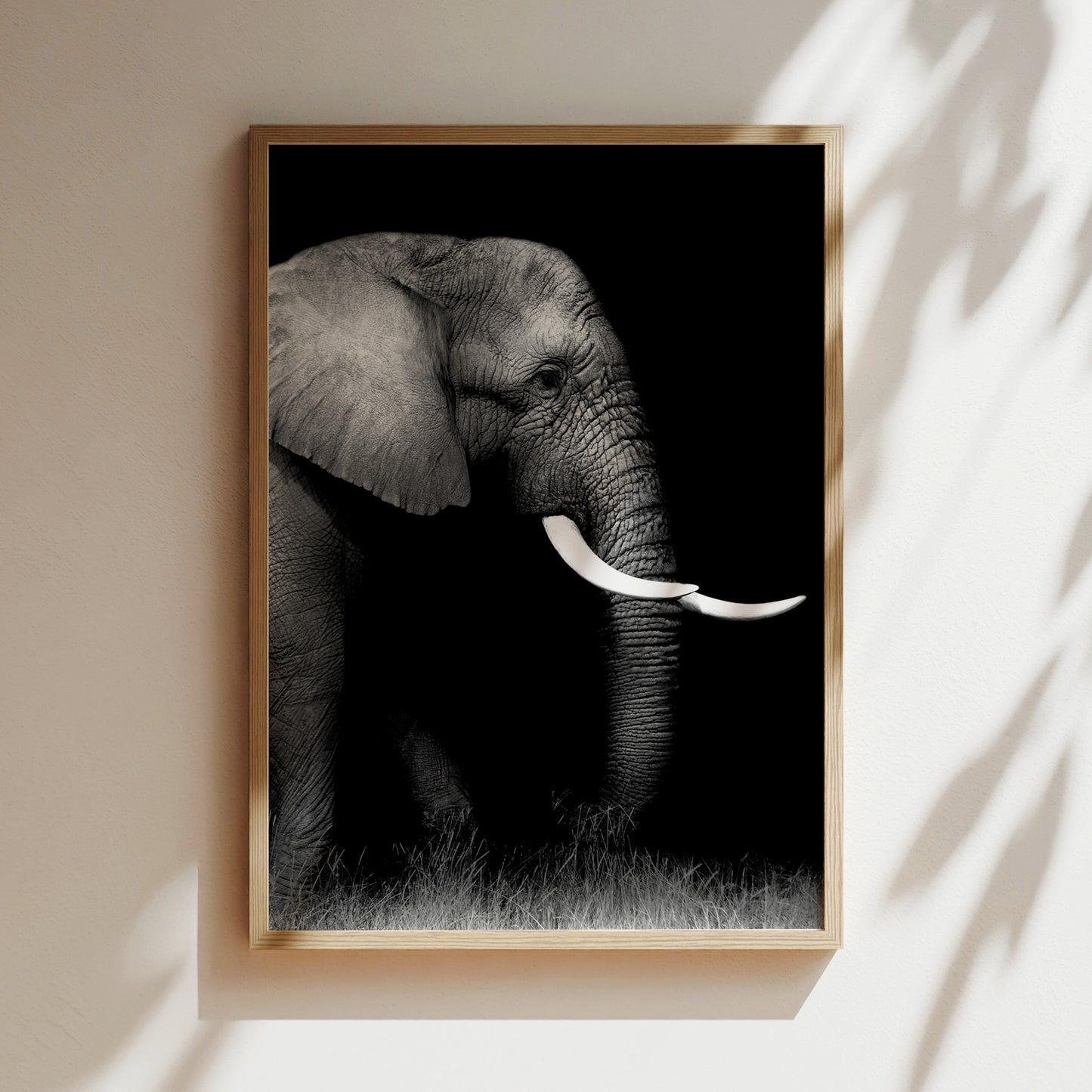 A black and white photograph of an elephant with large tusks, standing in a grassy area.
