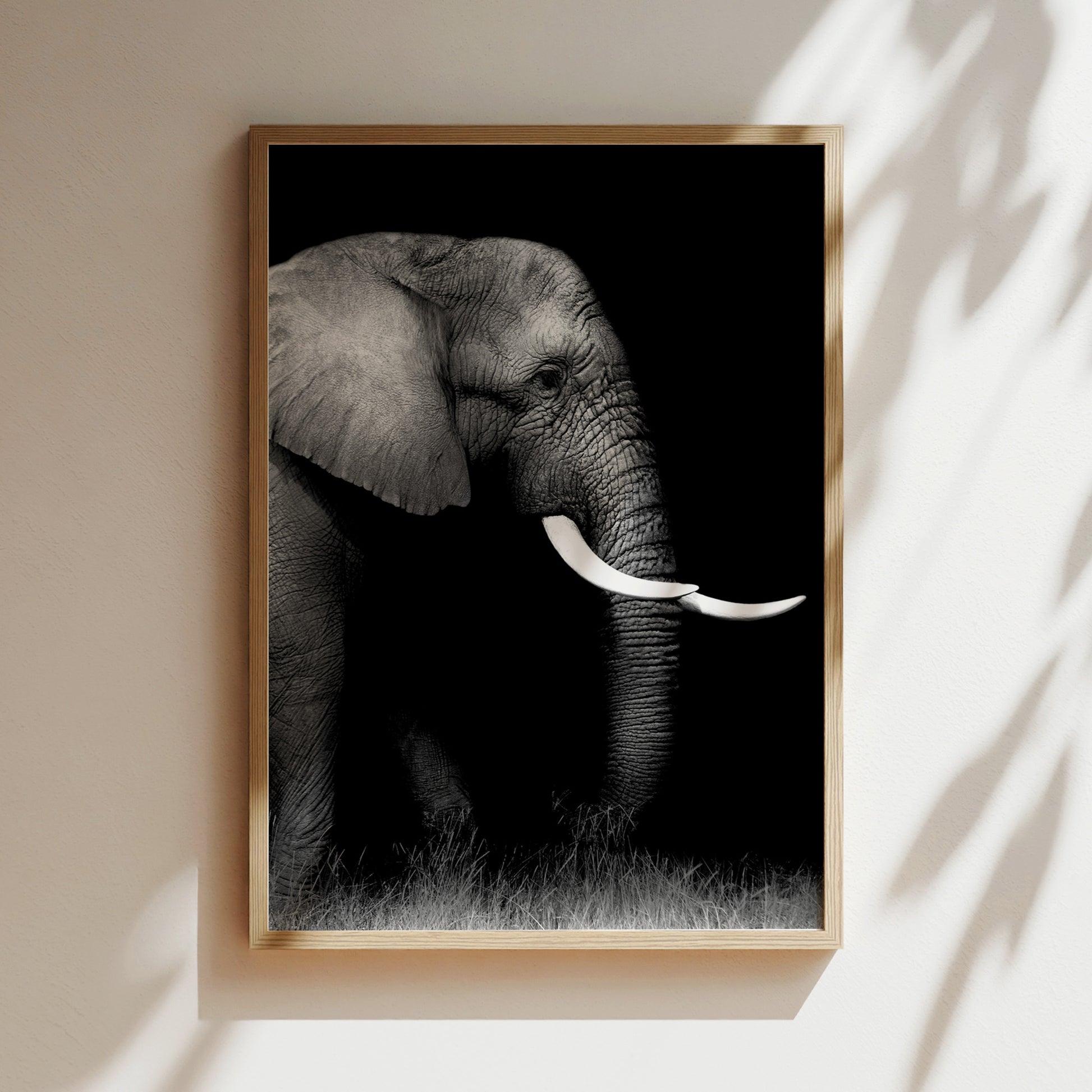 A black and white photograph of an elephant with large tusks, standing in a grassy area.